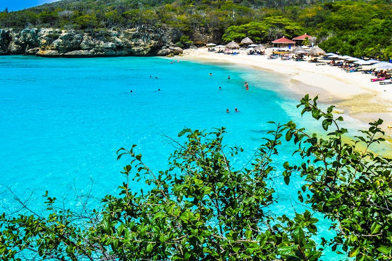 A breathtaking view of Curaçao's tropical beach with clear turquoise waters and lush greenery.